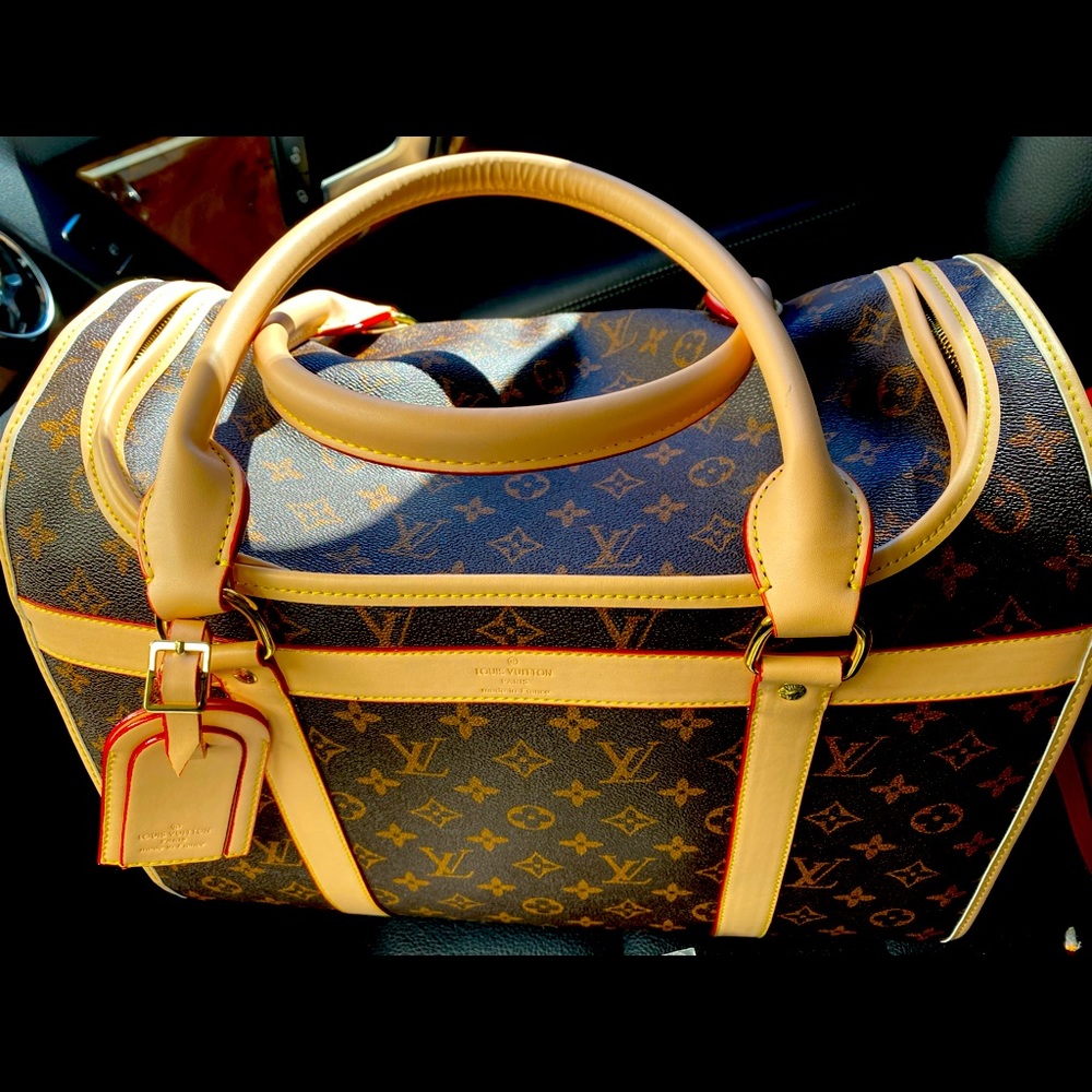 Beautiful “LV” pet carrier.